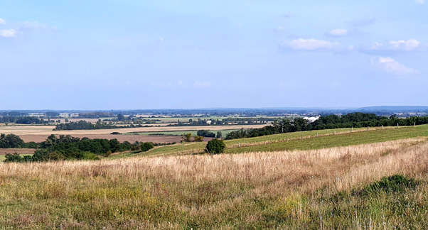 Konzept Seelower Höhen 45