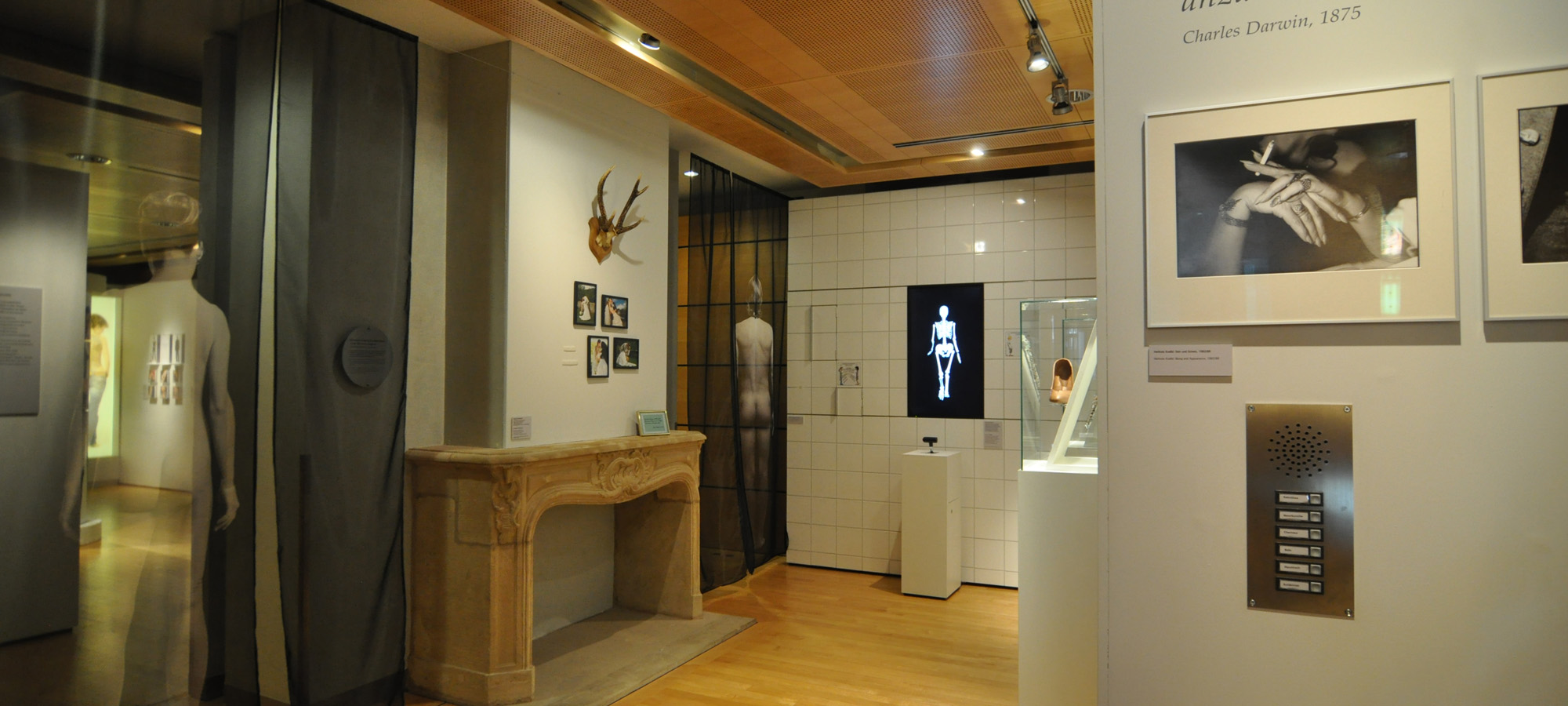 Sonderausstellung - Zeichen